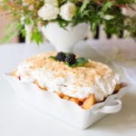 fresh peach dessert whipped cream graham cracker