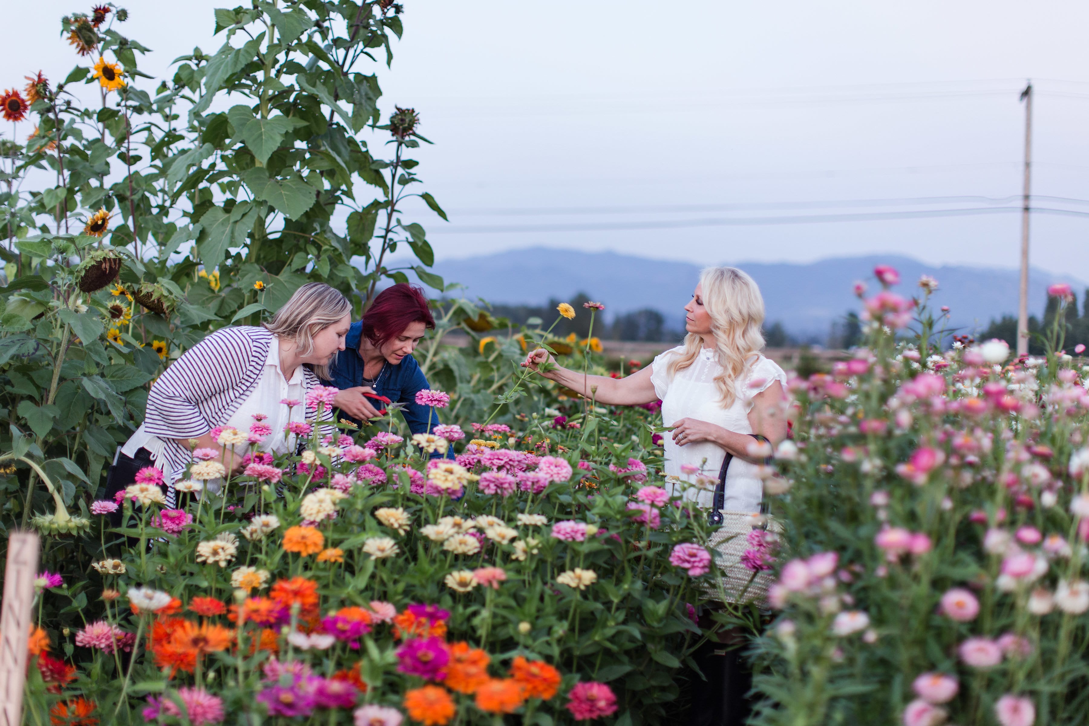 outdoor tablescape entertaining farm to table flowers garden 