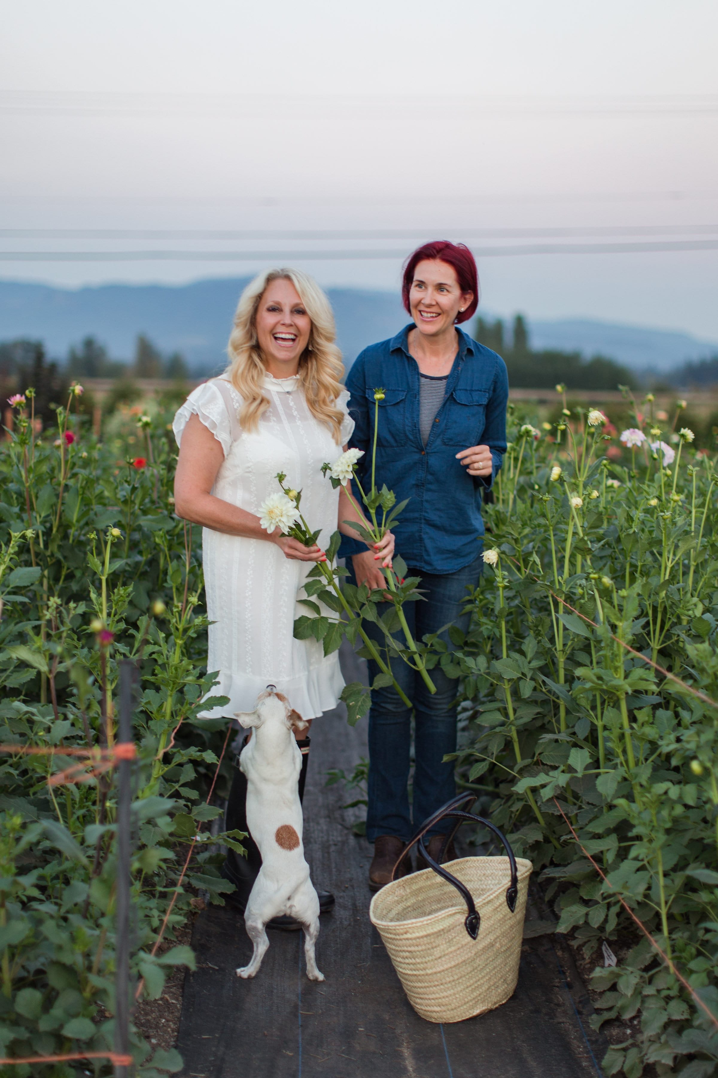 Cutting flowers with Amy Brown at Laughing Goat Flower Farm