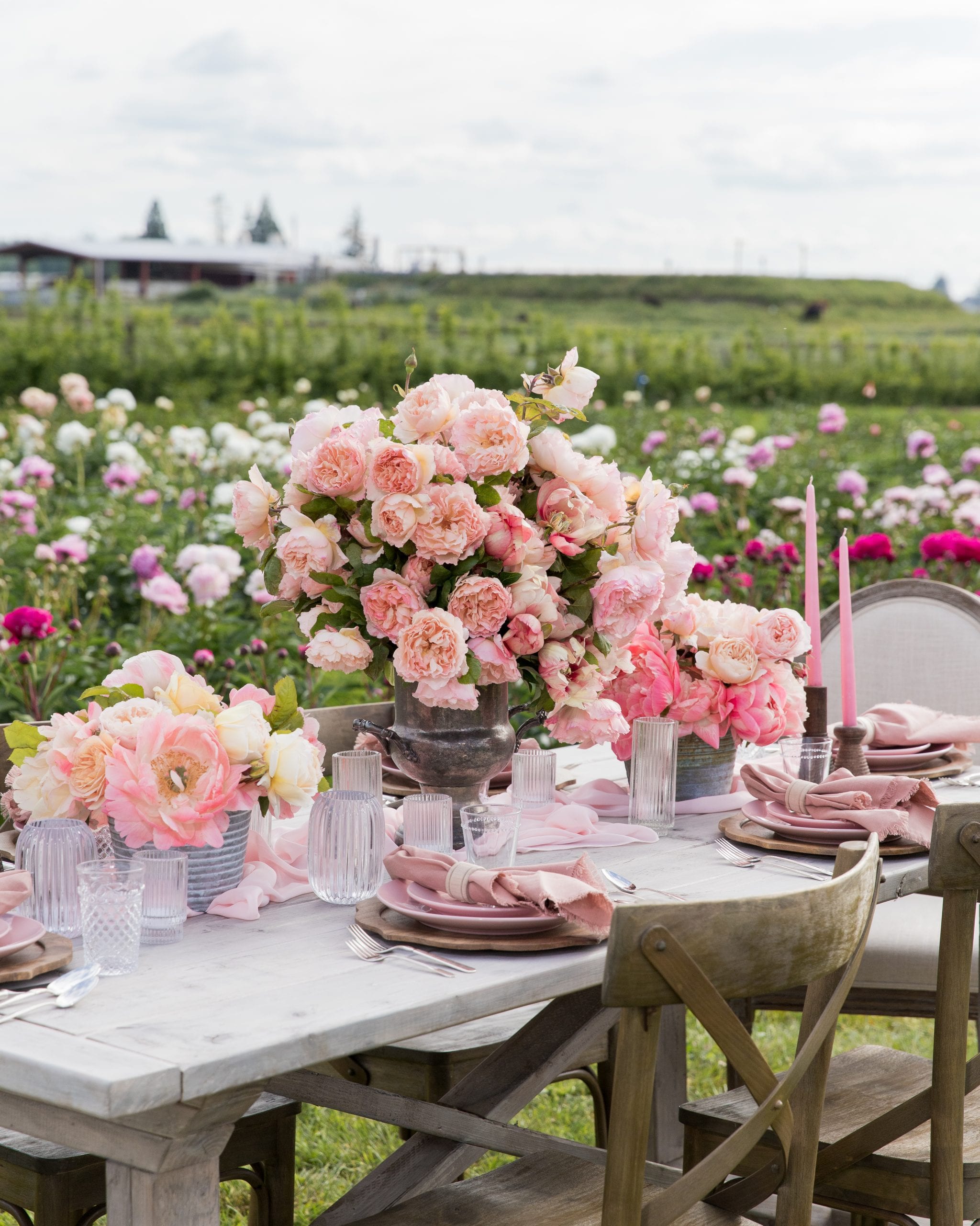 roses and peonies flower farm 