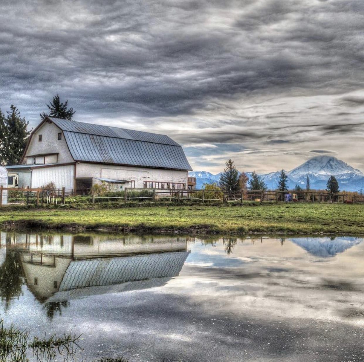 laughing goat flower farms of the Pacific Northwest