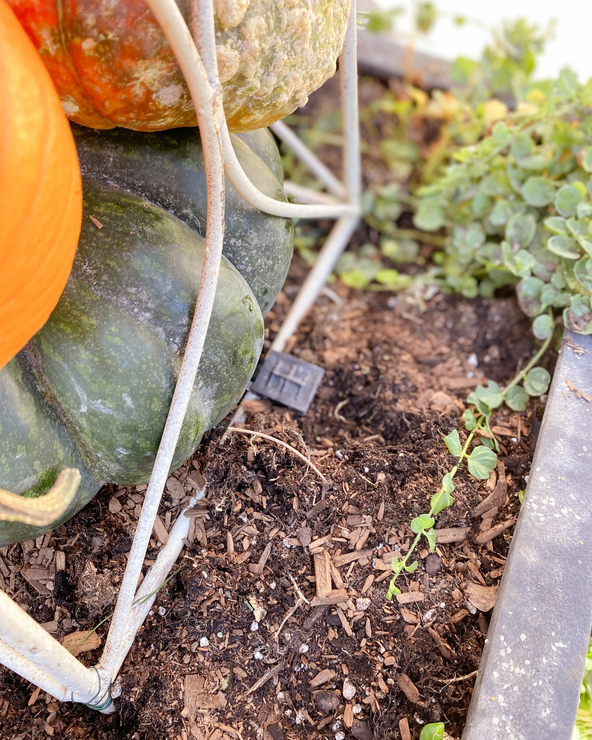 Fall porch DIY decor