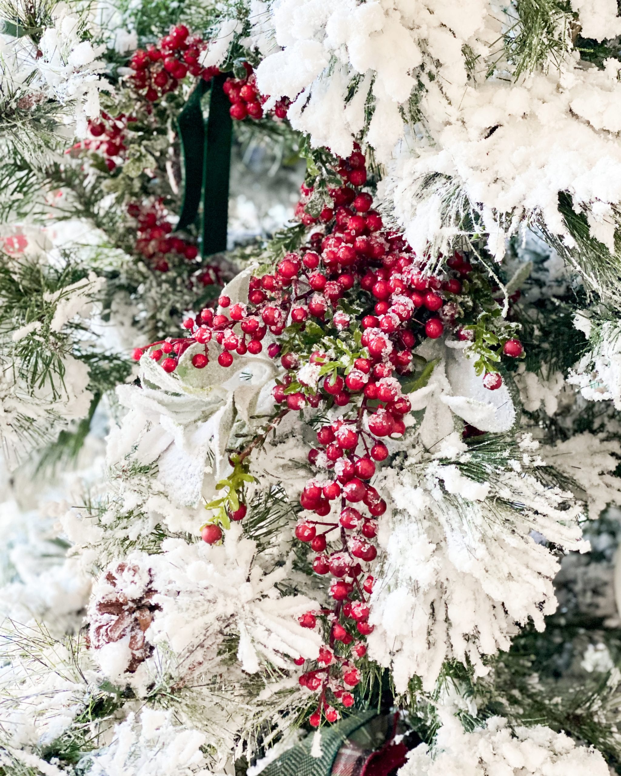 Christmas tree red berries