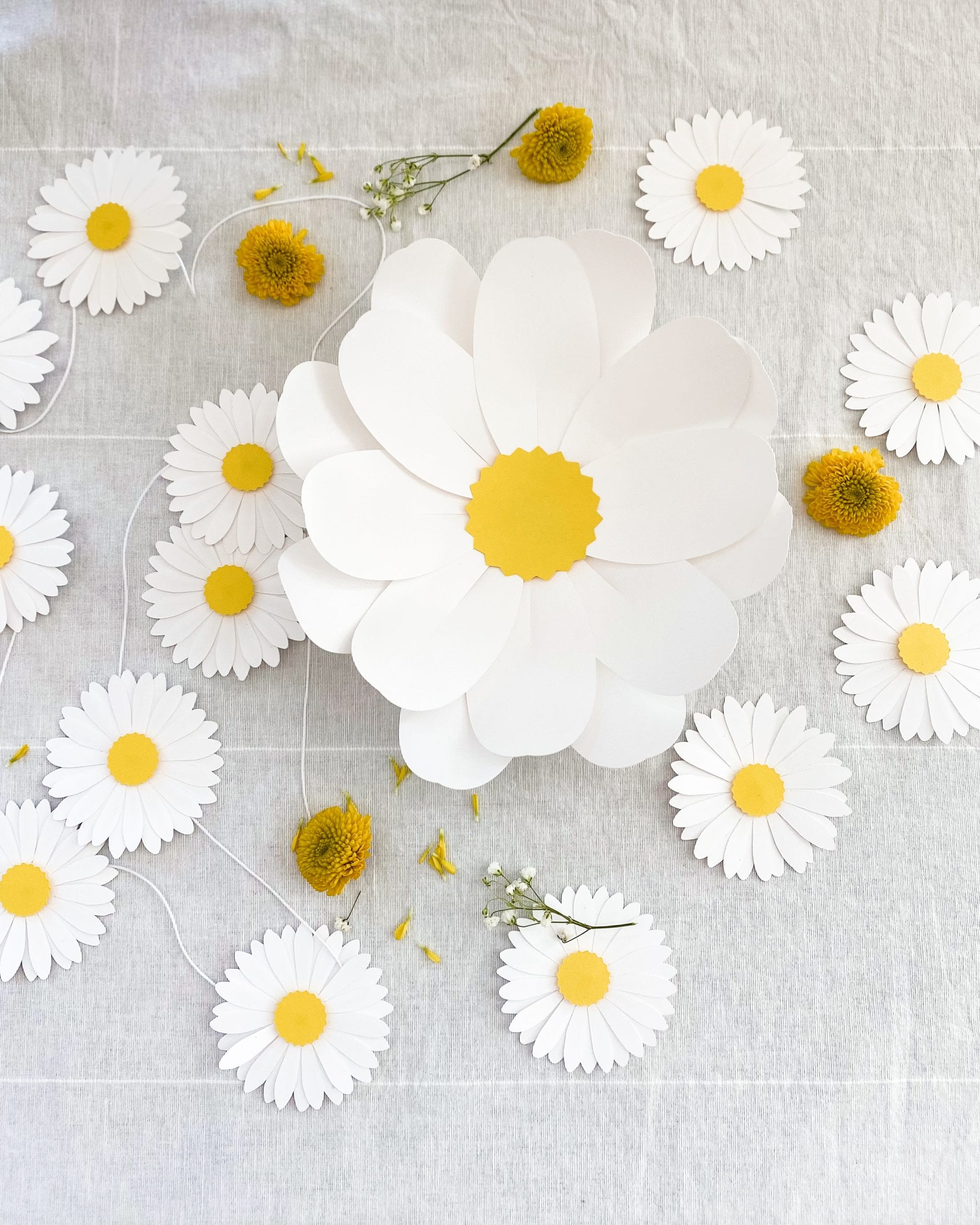 paper daisy flowers