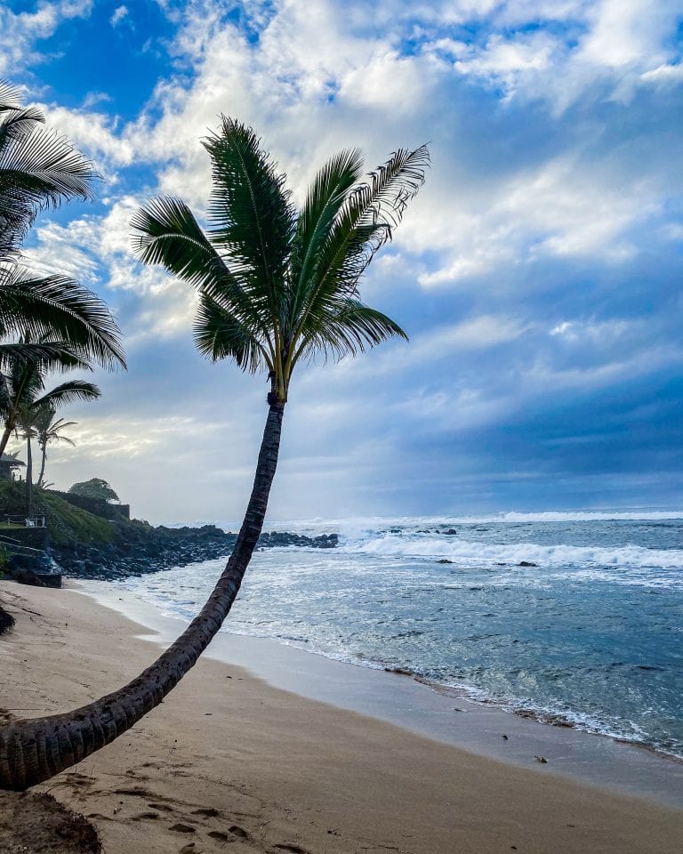 what to do when in maui