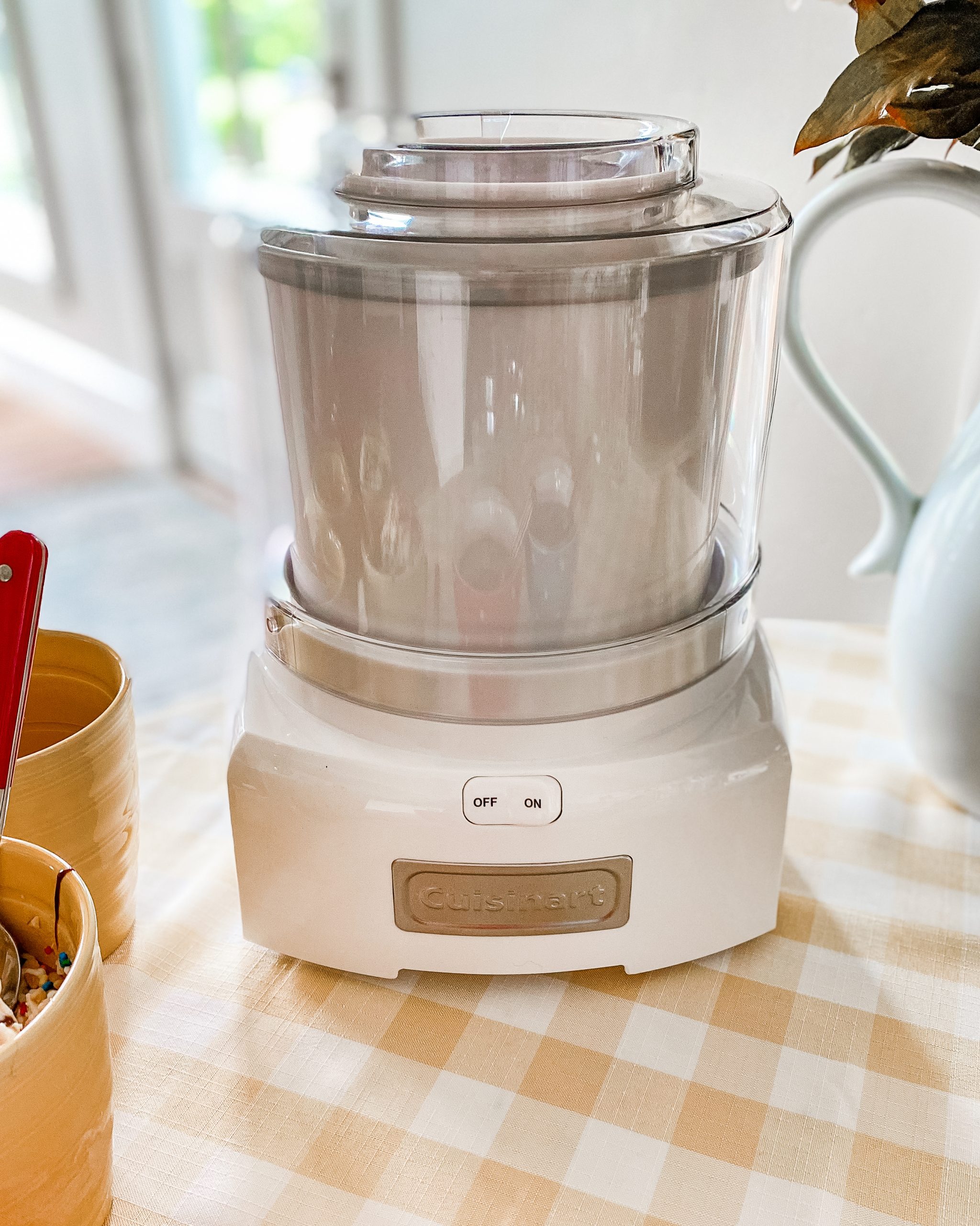 homemade ice cream maker