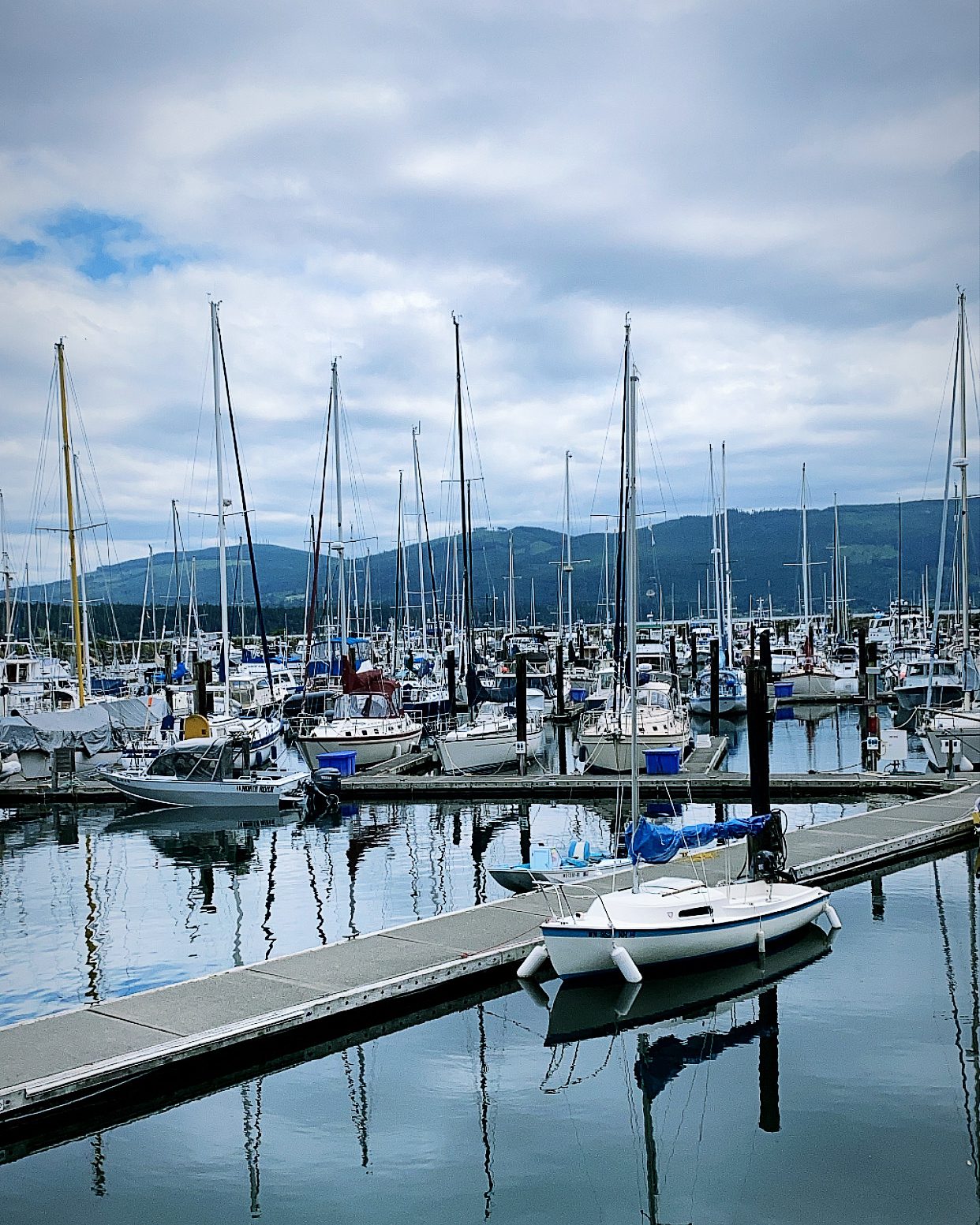 John Wayne marina Sequim wa harbor