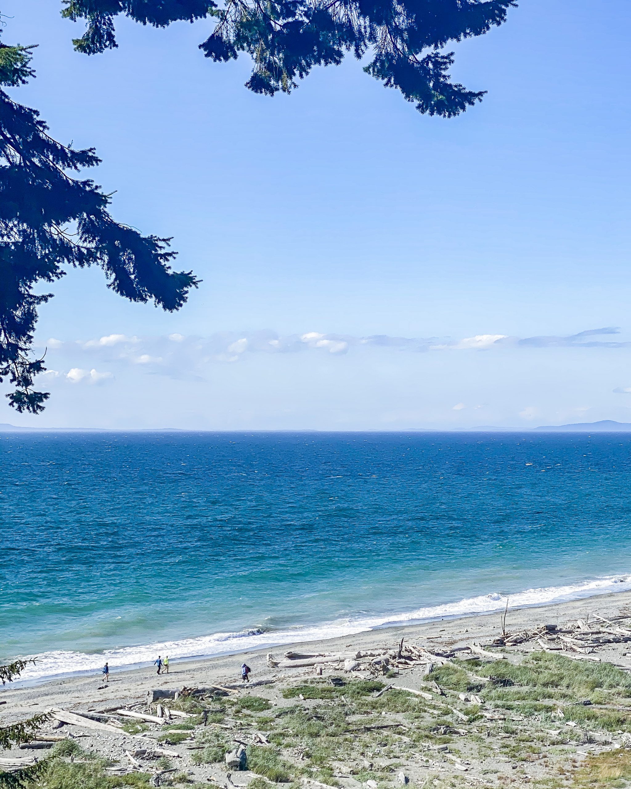 Dungeness spit