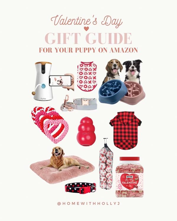 valentines day gift guide for dogs