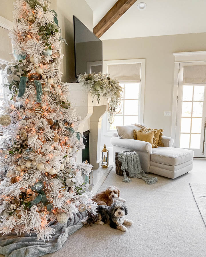 Silver and Gold Christmas Decor - Transitional - Living Room