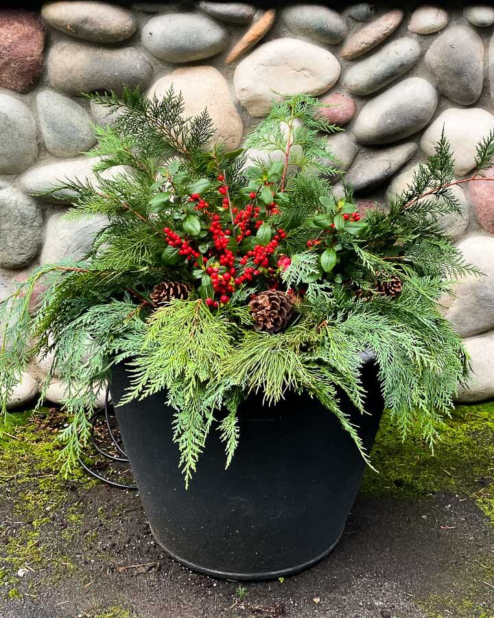 Outdoor Christmas Decor Ideas planter close up