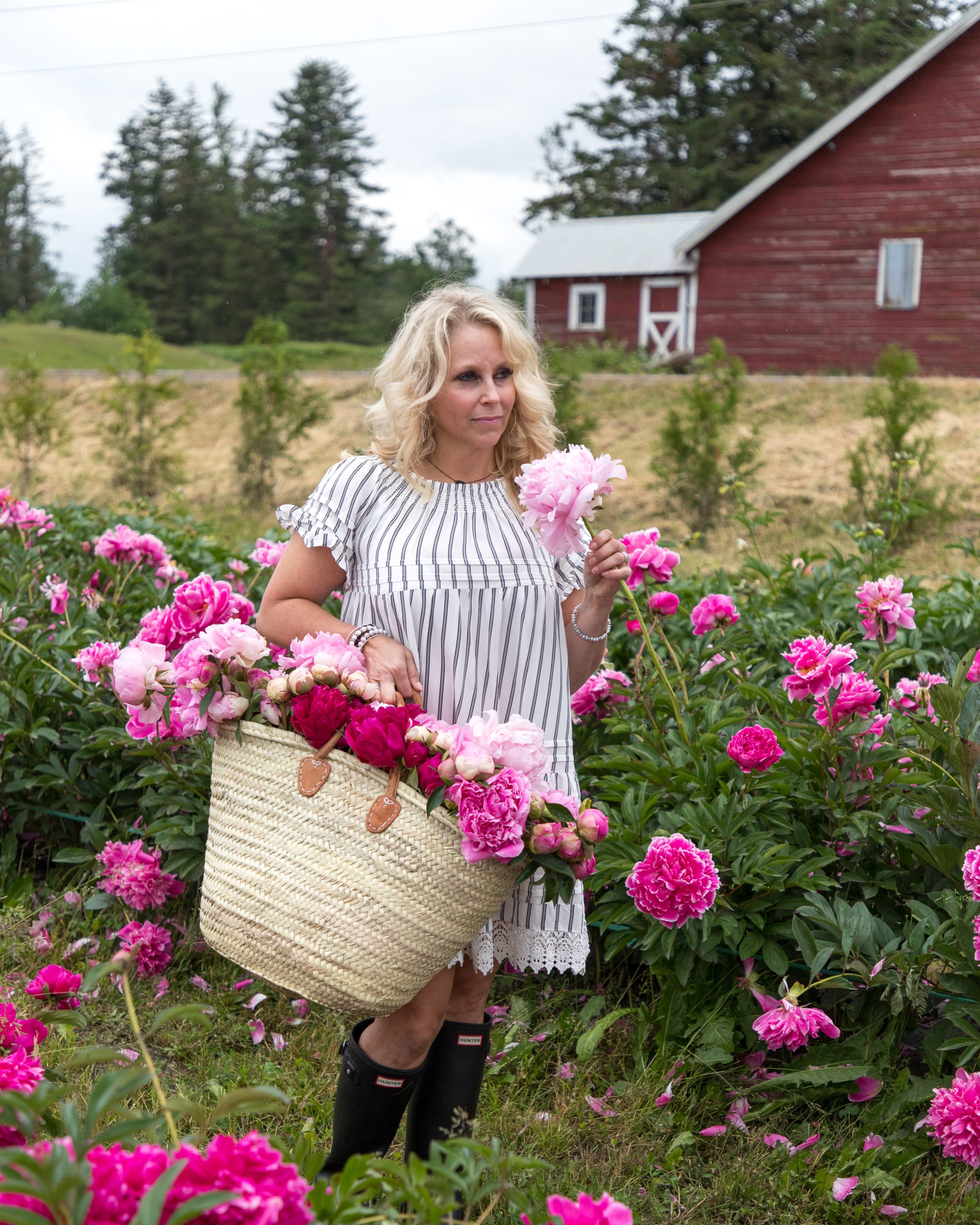 pure peonies flower farm