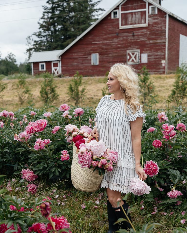 picking peonies at a flower farm