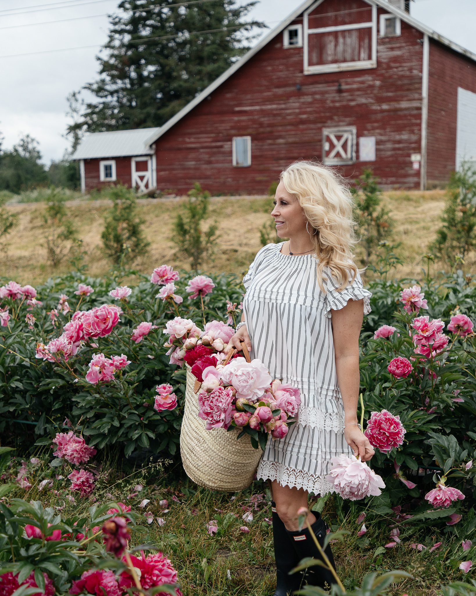 picking peonies on a flower farm