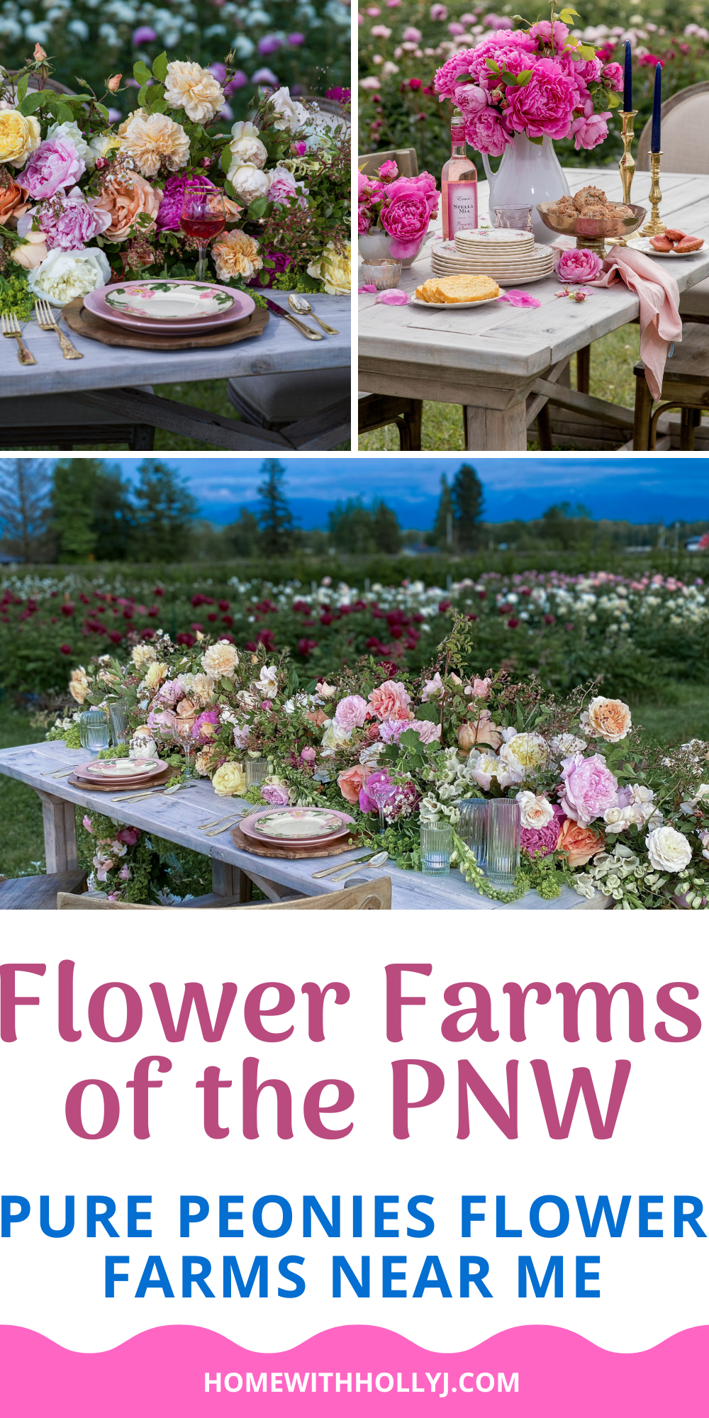 Explore Pure Peonies Flower Farms near me in the PNW! Immerse yourself in a blooming paradise and discover vibrant peonies. Read more here.