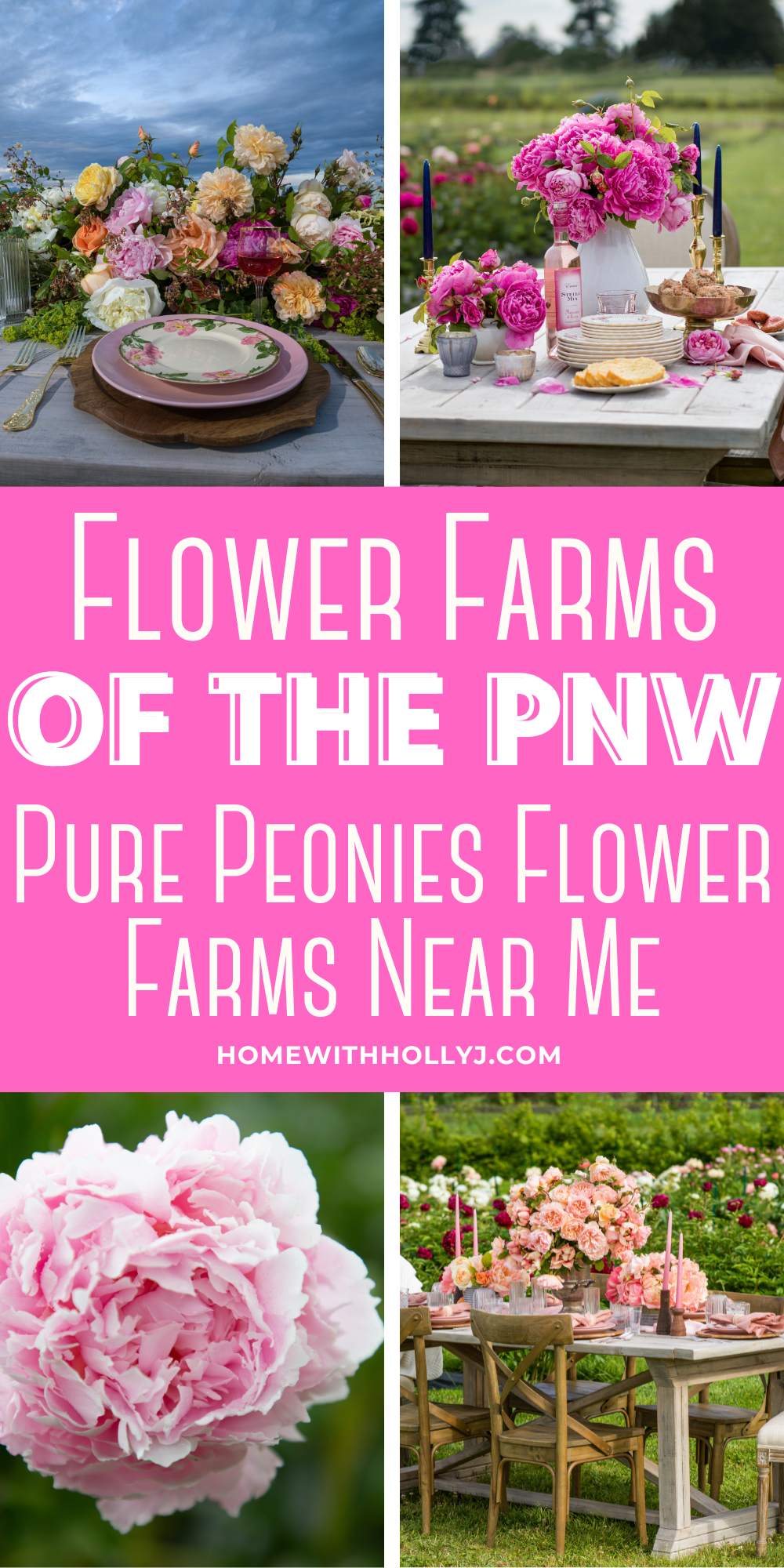 Explore Pure Peonies Flower Farms near me in the PNW! Immerse yourself in a blooming paradise and discover vibrant peonies. Read more here.