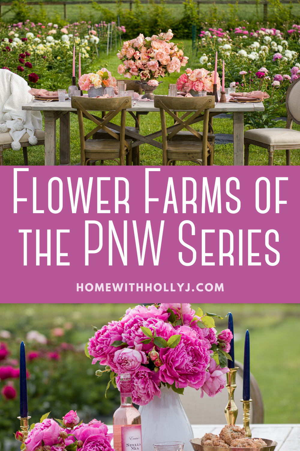 Explore Pure Peonies Flower Farms near me in the PNW! Immerse yourself in a blooming paradise and discover vibrant peonies. Read more here.