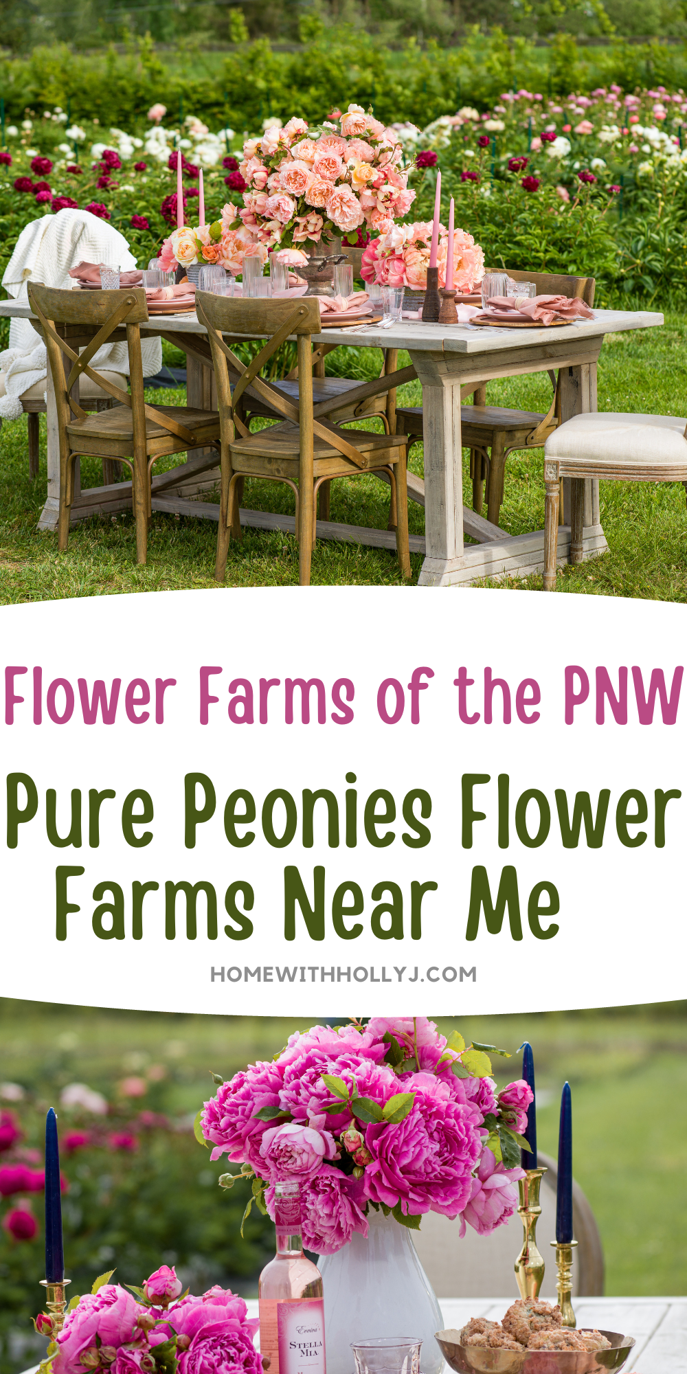 Explore Pure Peonies Flower Farms near me in the PNW! Immerse yourself in a blooming paradise and discover vibrant peonies. Read more here.