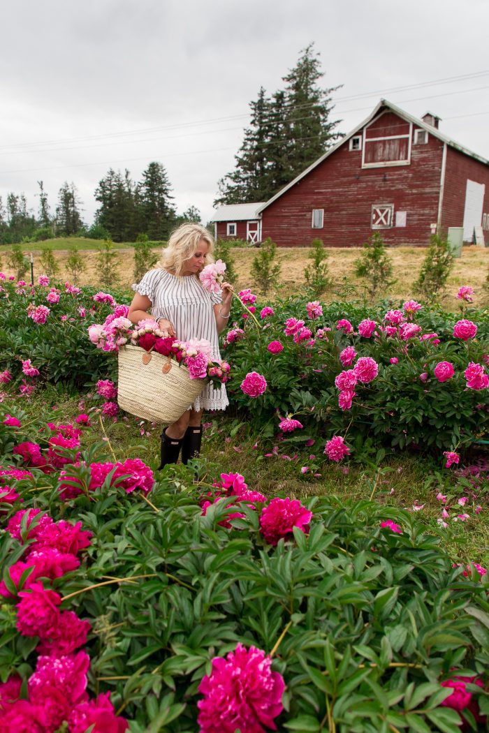 Flower Farms of the PNW Series Part Three: Pure Peonies Flower Farm