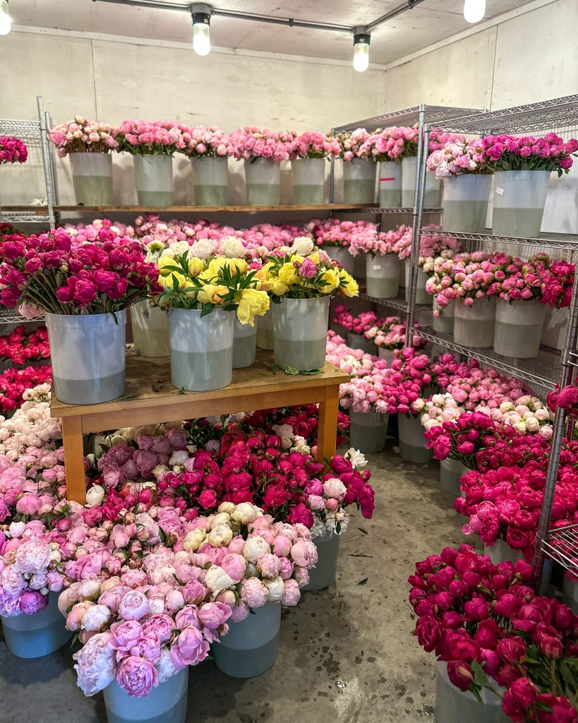 peony varieties in cold storage