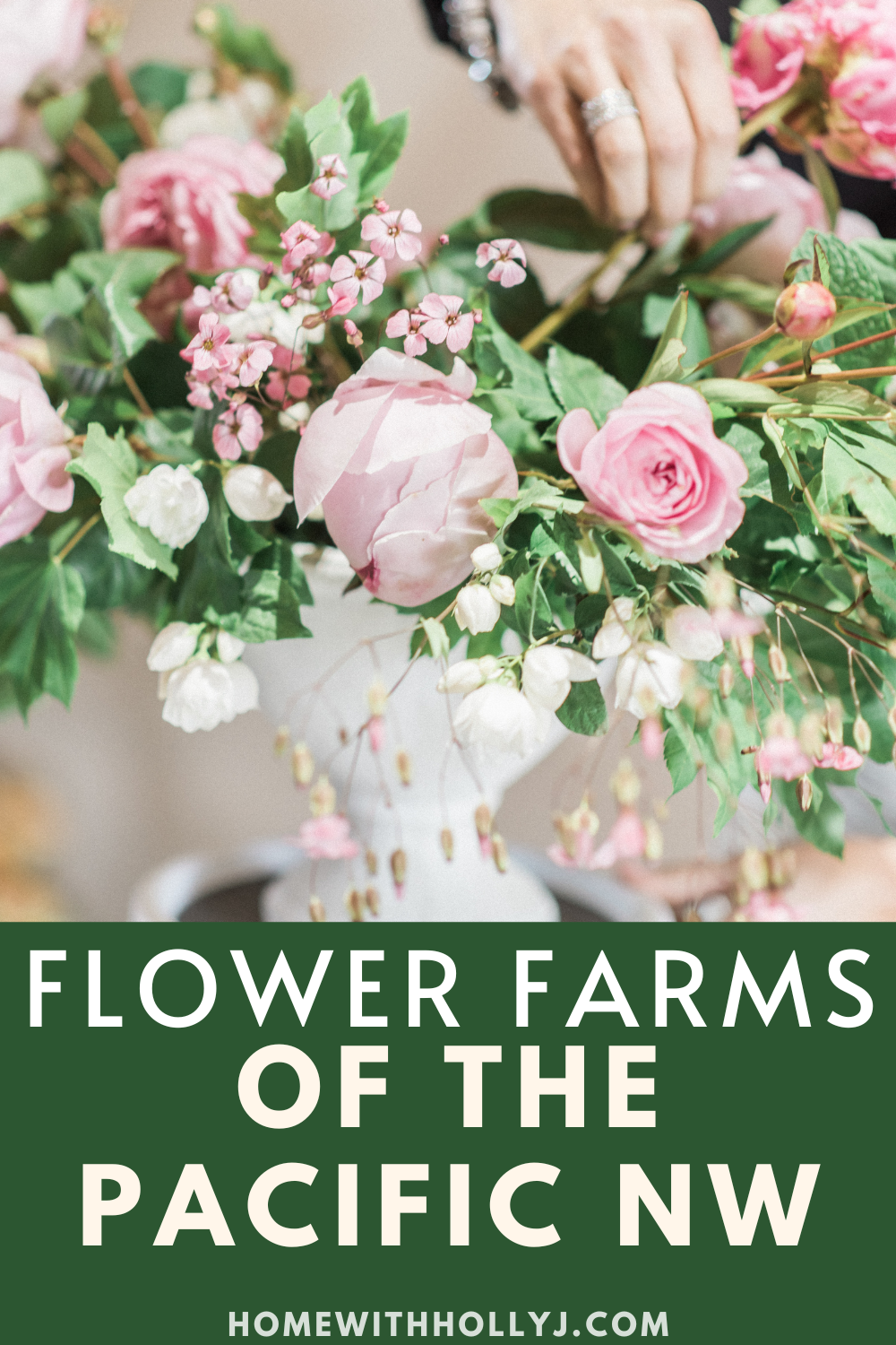 Discover the beauty of All My Thyme flower farm in the picturesque Skagit Valley of Northern Washington. Join us on this floral journey!