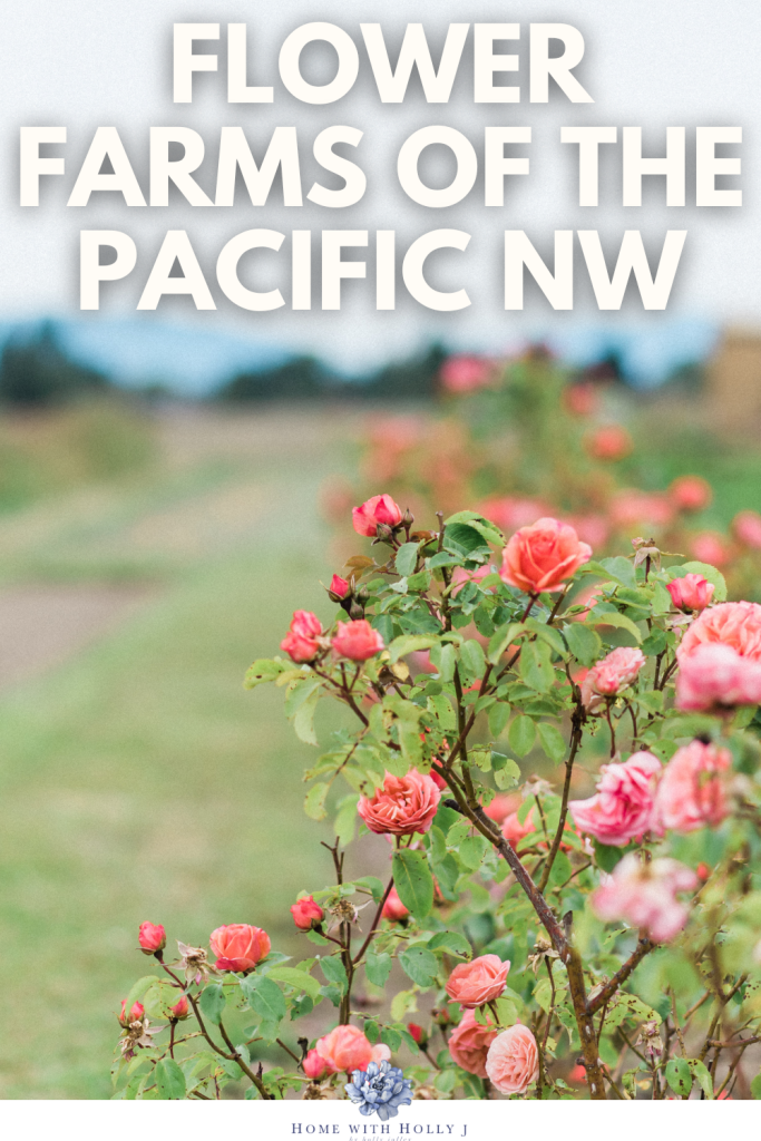 Flower Farms Pacific Northwest