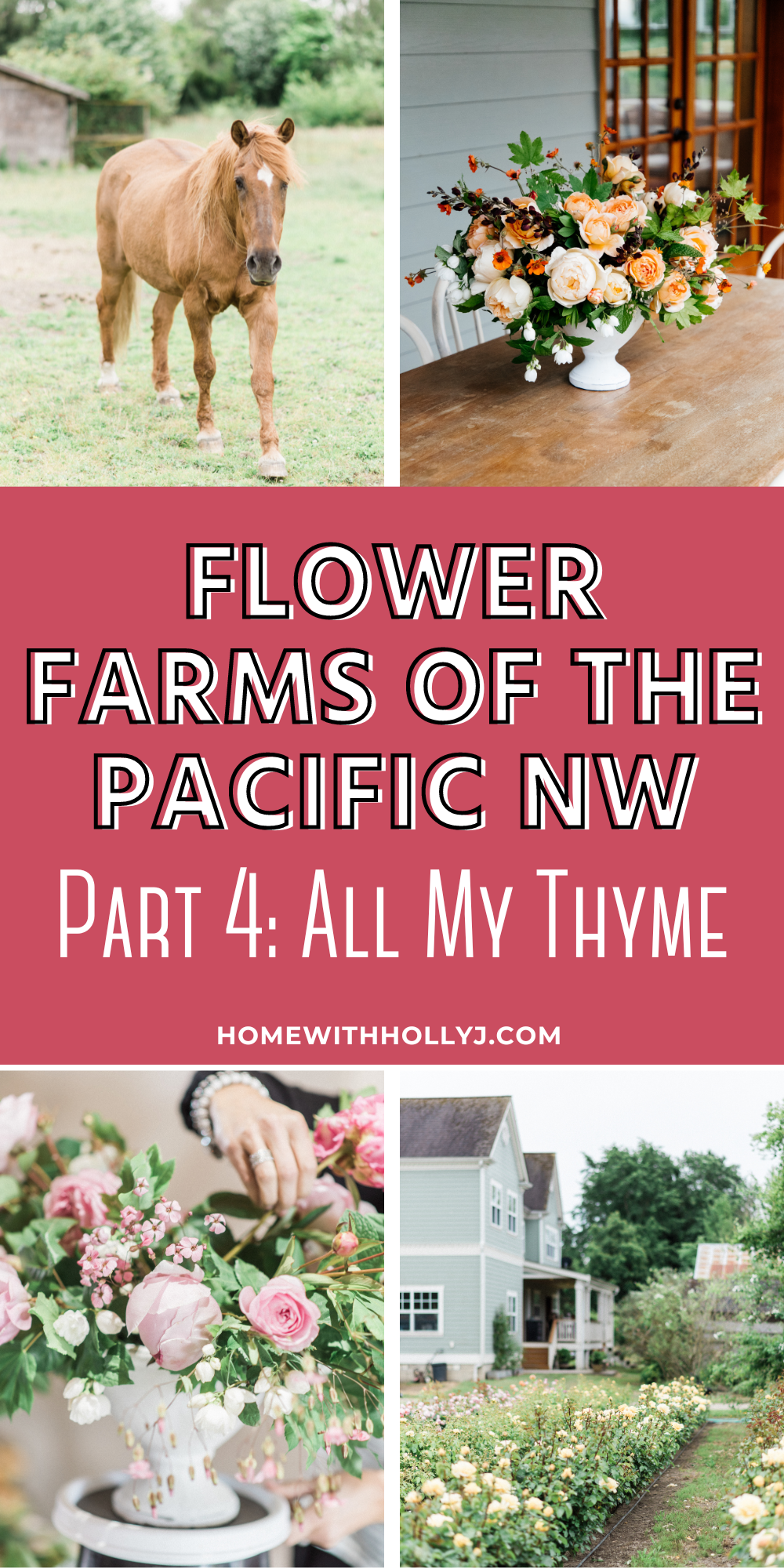 Discover the beauty of All My Thyme flower farm in the picturesque Skagit Valley of Northern Washington. Join us on this floral journey!