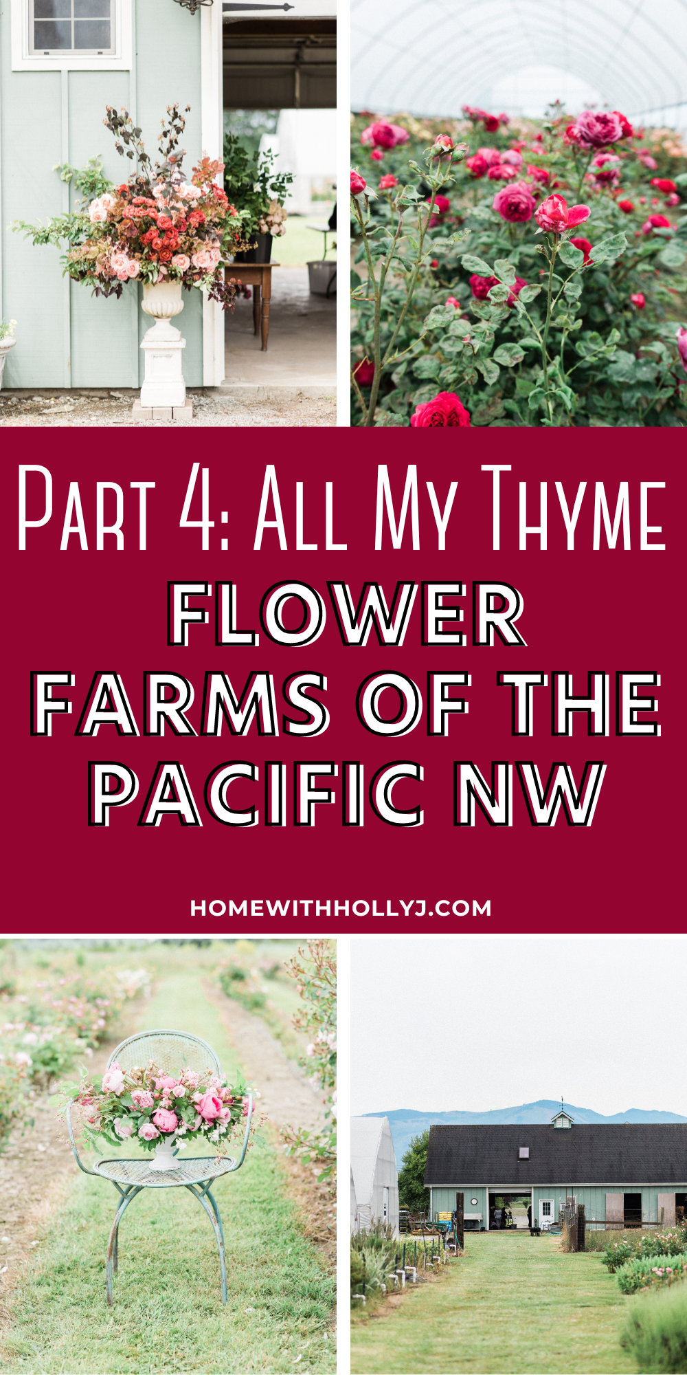 Discover the beauty of All My Thyme flower farm in the picturesque Skagit Valley of Northern Washington. Join us on this floral journey!