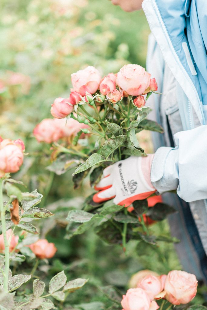 Picking flowers