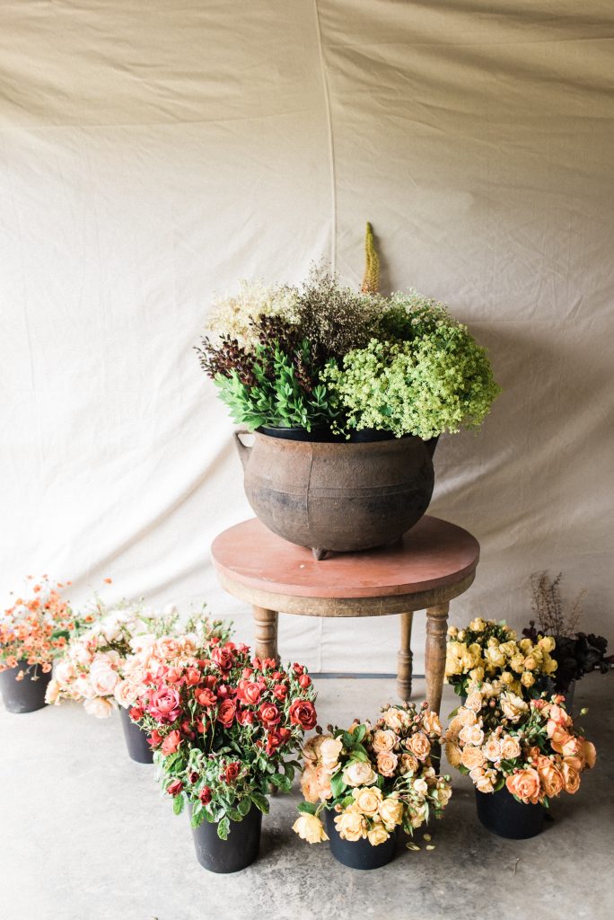 Various Flowers