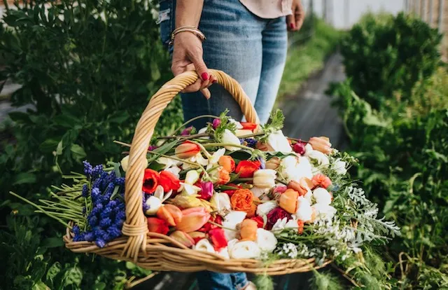 flowers in a basket