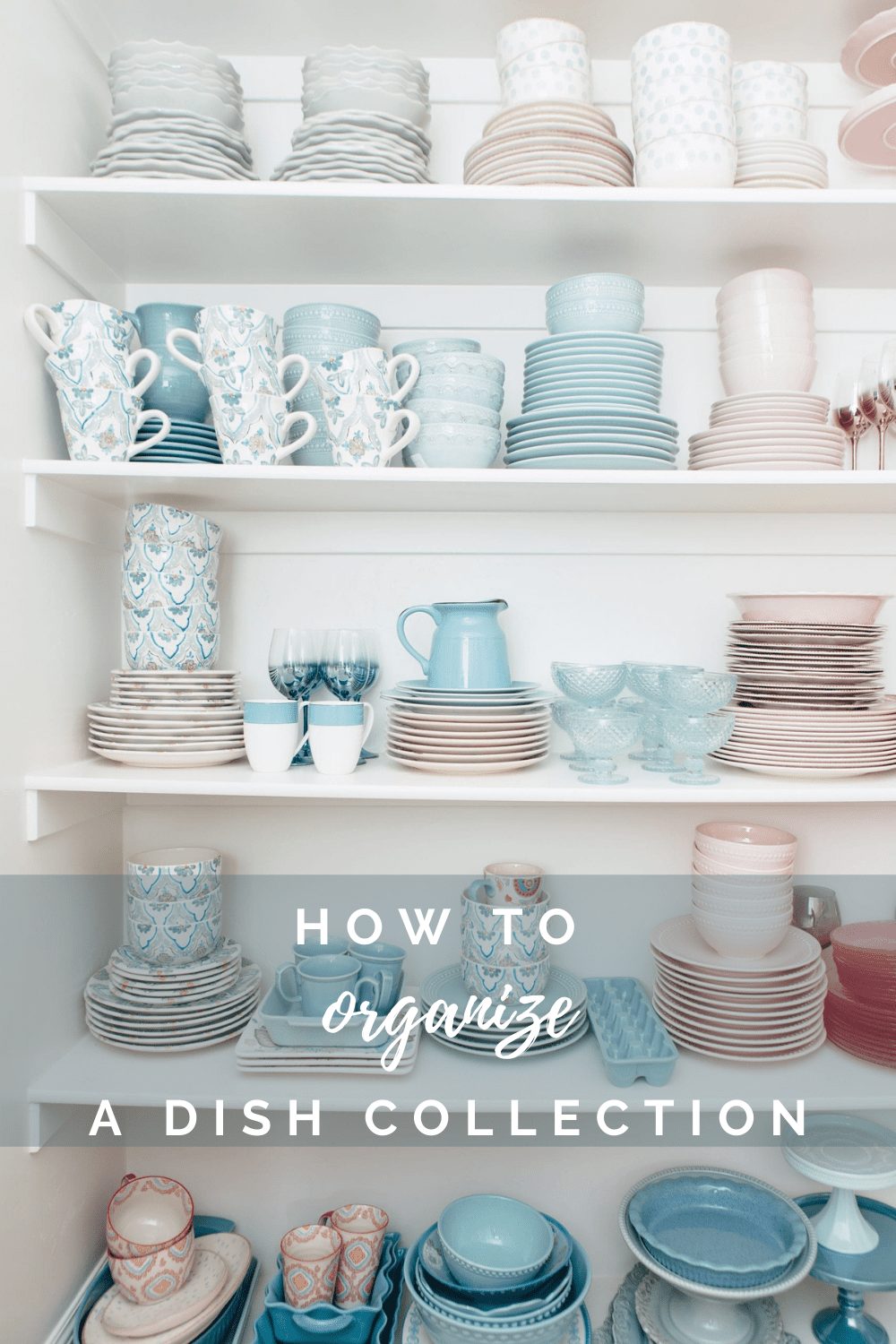 How I organize my dish collection