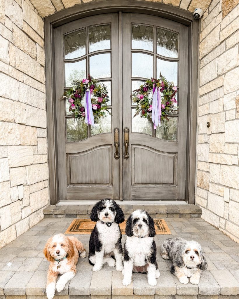 front doors with spring wreaths and bernedoodles